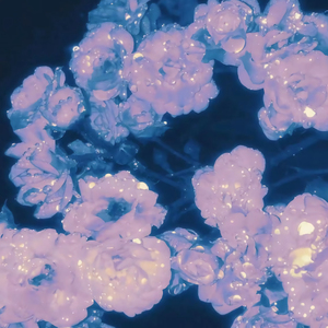 欧洲美女与动交zoz0z最新章节
