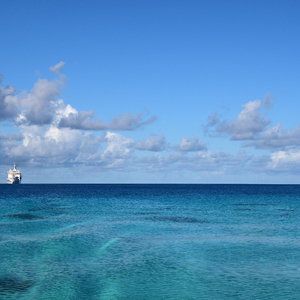 欧洲美女与动交zoz0z最新章节
